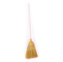 Broom with long handle